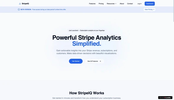 Powerful Stripe Analytics Simplified. 화면