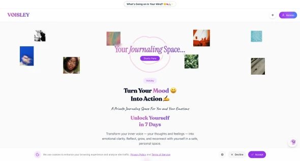 Voisley | Unlimited Journals 화면